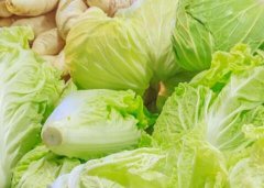 白菜的科學施肥離不開土壤養(yǎng)分檢測儀
